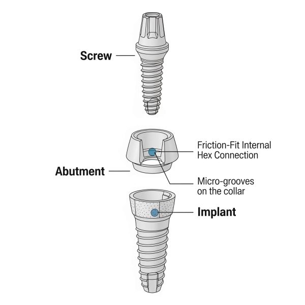 دیاگرام فنی اجزای ایمپلنت زیمر بیومت مدل Tapered Screw-Vent